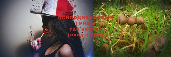 кокс Каменка