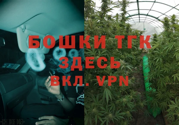 гидропоника Карталы