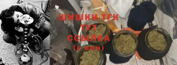 амф Каменногорск