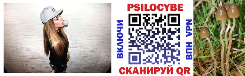 это клад  Тогучин  Галлюциногенные грибы GOLDEN TEACHER 